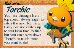 I am Torchic!