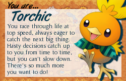 Torchic