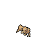 doduo