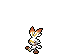 scorbunny.png